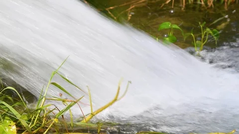 Water flow small pond fields green in 4k ultra Stock Footage 97494680