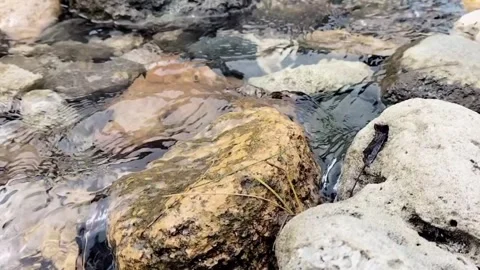 Water flow in a small river Stock Footage 306076649
