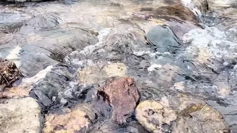 Water flow in a small river Stock Footage 306076700