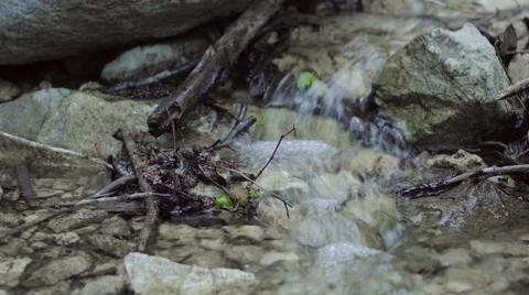 Water flow in a small rock stream Stock Footage 62313356