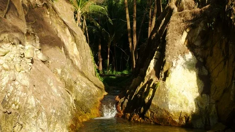 Water flow small stream between big rock and palm , pine tree Stock Footage 90454010