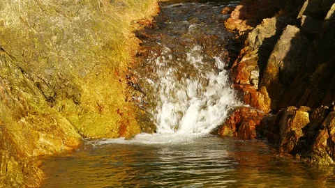 Water flow small stream between big rock and palm , pine tree Stock Footage 90458613