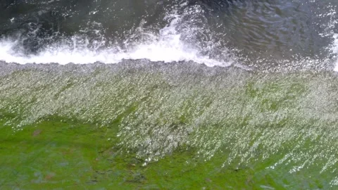 Water flow spilling over a threshold onto green algae, white foam and splashe Stock Footage 334655872