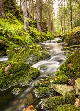 Water flow in a stream, long exposure, vertical Stock Photos