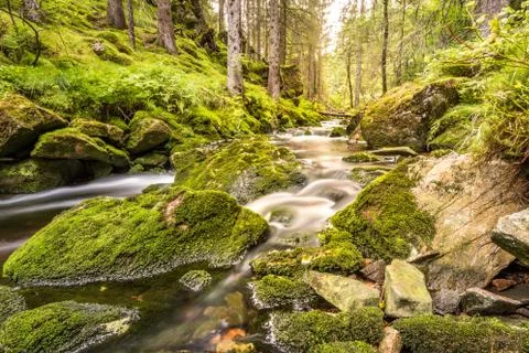 Water flow in a stream, long exposure Stock Photos