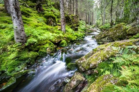 Water flow in a stream, long exposure Stock Photos