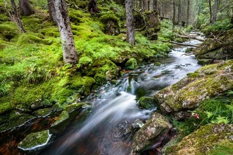 Water flow in a stream, long exposure Stock Photos