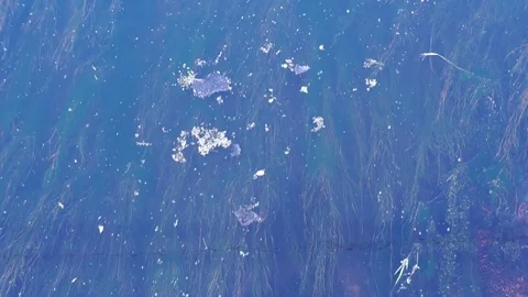 Water flow stream in the village Video stock 77503373