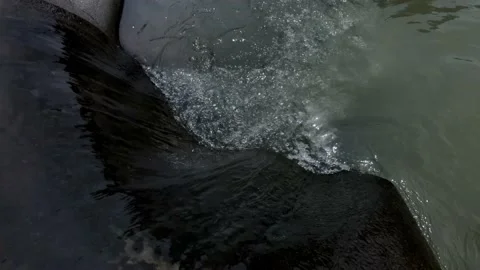 Water flow on the surface of a rocky river Stock-Footage 222345372