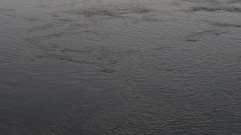 Water flow of Tiber river in Rome (Italy) 01 Stock Footage 303582893