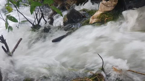The water flowed swiftly between the trees and green leaves Stock Footage 329958968