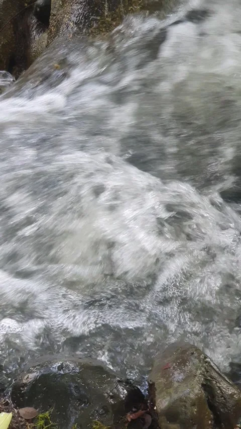 The water flowed swiftly between the trees and green leaves Stock Footage 329959373
