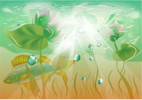 Water flowers Stock Illustration