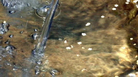 Water flowing 2 Stock Footage 478081