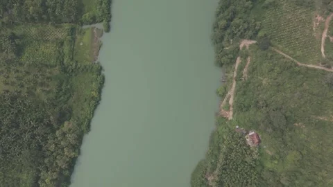 Water flowing across forest Stock Footage 294770022