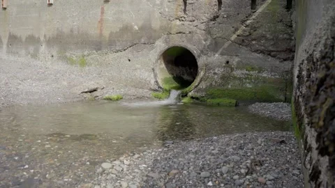 Water Flowing from Algae-Covered Drain Pipe. 스톡 동영상 312899163