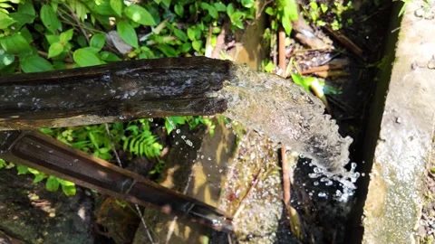 Water Flowing Along Split Bamboo in a Tropical Garden Stock Footage 348064248
