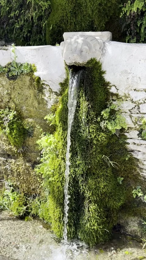 Water Flowing from Ancient Lion Head Fountain Covered with Moss Stock Footage 336964931