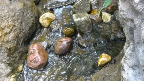 Water flowing around rocks in stream. Slow motion Stock Footage 77081902