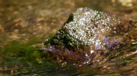 Water flowing around a stone Stock Footage 26601133