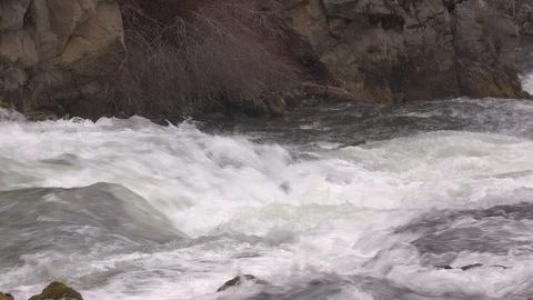 Water Flowing at Benham Falls Stock Footage 88717224