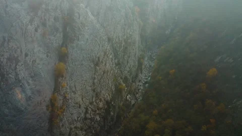 Water flowing between beautiful forest trees surrounded by mountains on both  Stock Footage 255313291