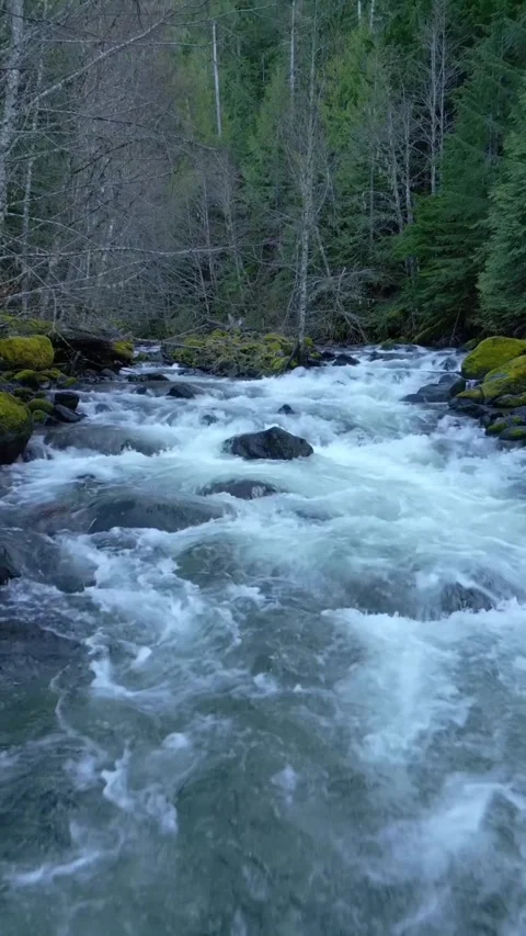 Water flowing between the mountains Stock Footage 273978086