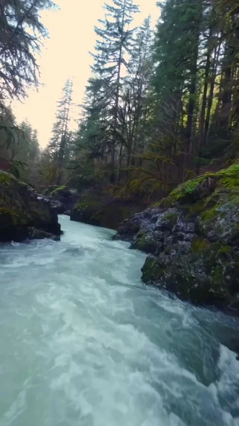 Water flowing between the mountains Stock Footage 273980938