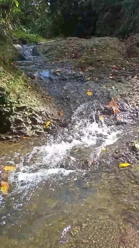 Water flowing between the rocks 11 Video stock 207951298
