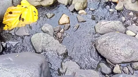 Water flowing between the rocks 13 Stock Footage 207951940