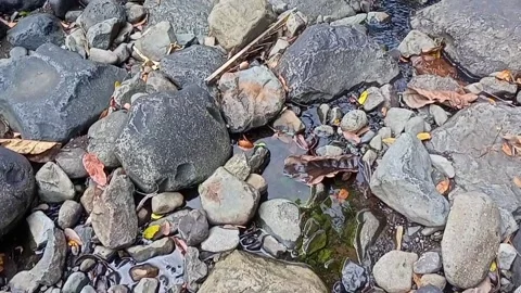 Water flowing between the rocks 14 Stock Footage 207951941