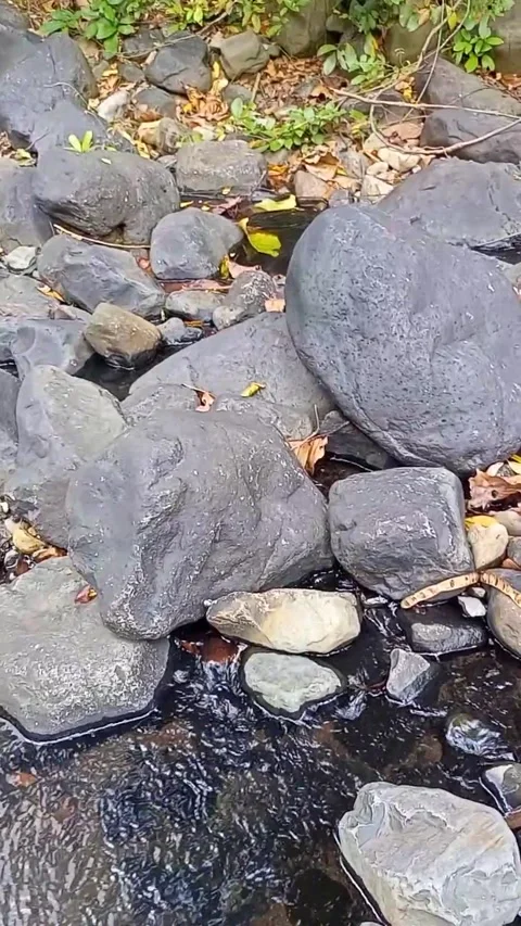 Water flowing between the rocks 15 Stock Footage 207951943