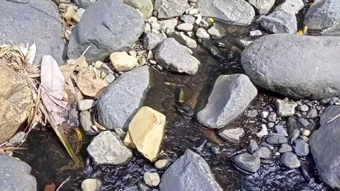 Water flowing between the rocks 16 Stock Footage 207951982