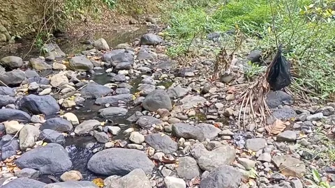 Water flowing between the rocks 17 Stock Footage 207952337