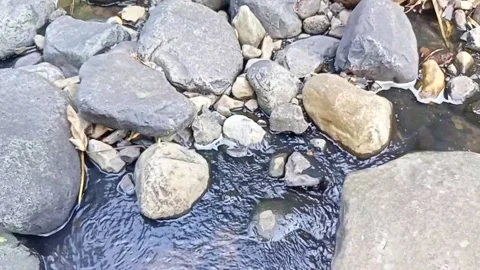 Water flowing between the rocks 19 Stock Footage 207952340