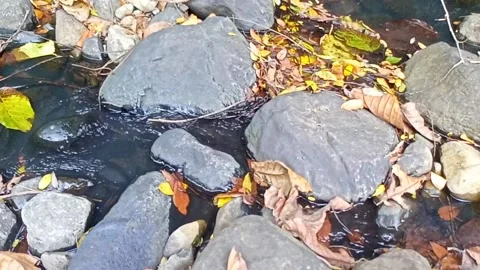 Water flowing between the rocks 20 Stock Footage 207952341
