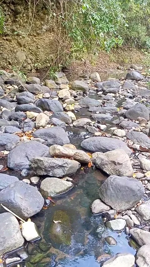 Water flowing between the rocks 21 Stock Footage 207952561