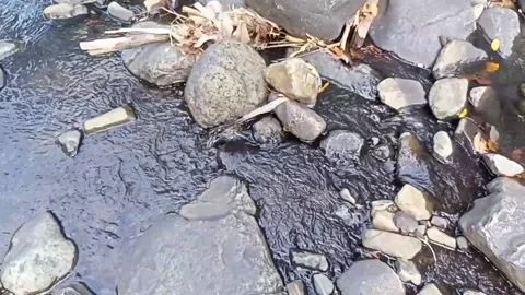 Water flowing between the rocks 22 Stock Footage 207952566