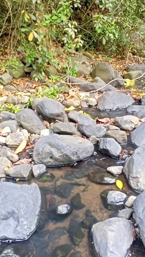 Water flowing between the rocks 25 Stock Footage 207953244
