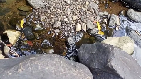 Water flowing between the rocks 26 Stock Footage 207953246