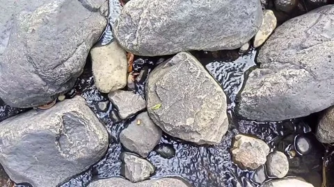 Water flowing between the rocks 27 库存影片 207953250