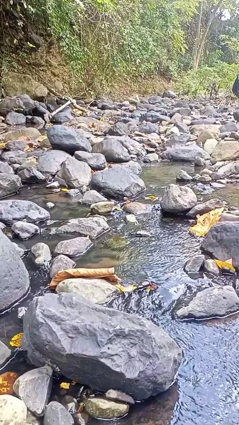 Water flowing between the rocks 30 Stock Footage 207953370