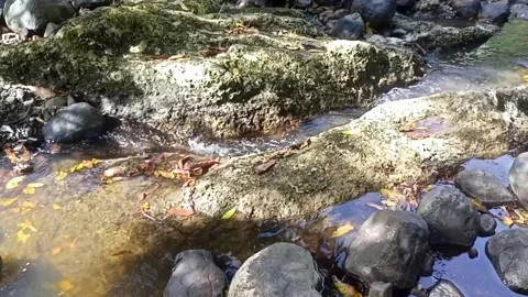 Water flowing between the rocks 4 Stock Footage 207950561