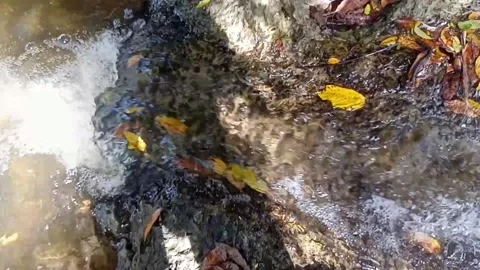 Water flowing between the rocks 4 Stock Footage 207951149