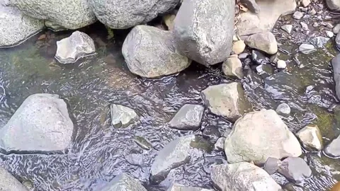 Water flowing between the rocks 6 Stock Footage 207951153