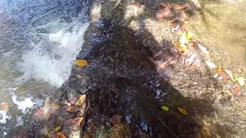 Water flowing between the rocks 7 Stock Footage 207951220