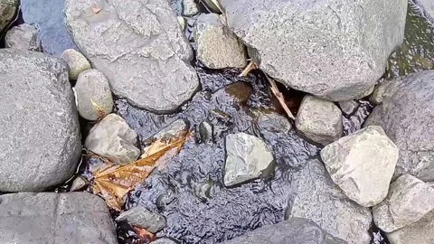 Water flowing between the rocks 8 Stock Footage 207951221