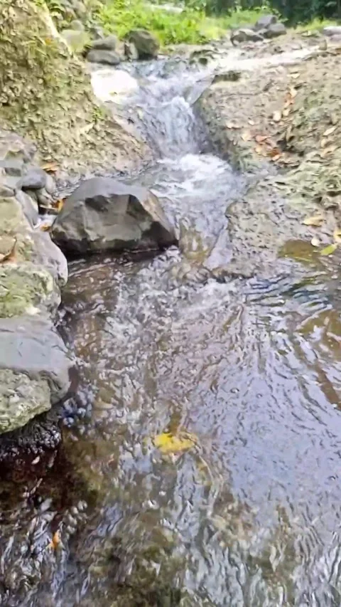 Water flowing between the rocks 9 Stock Footage 207951222