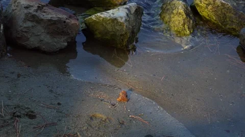 Water flowing between rocks and sand Stock Footage 251207162