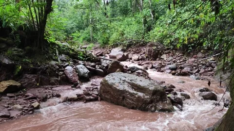 Water flowing between rocks and stones in mountain river in Pozuzo, Peru Vidéo 283272941